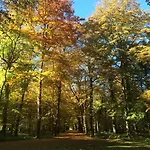 Bed & Breakfast Chateau De Montabert 4*