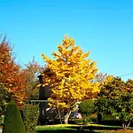 Bed & Breakfast Chateau De Montabert 4*