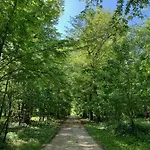 Chateau De Montabert Bed & Breakfast