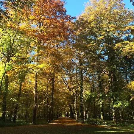 Bed & Breakfast Chateau De Montabert 4*