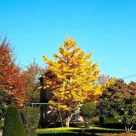 Bed & Breakfast Chateau De Montabert 4*