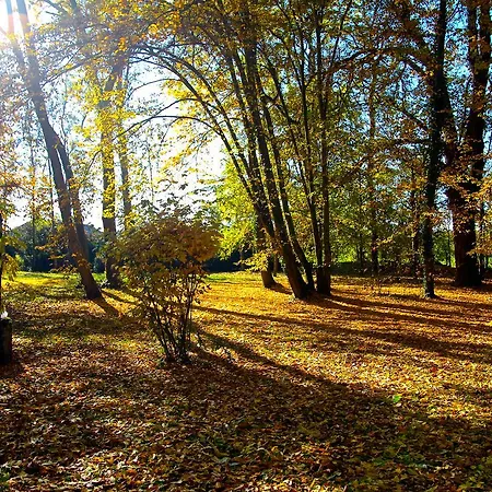 Chateau De Montabert Bed & Breakfast