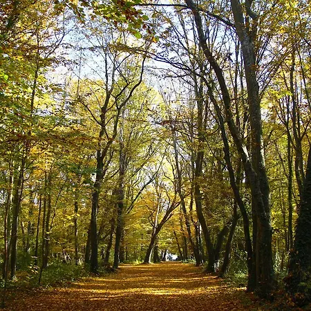 Bed & Breakfast Chateau De Montabert Montaulin