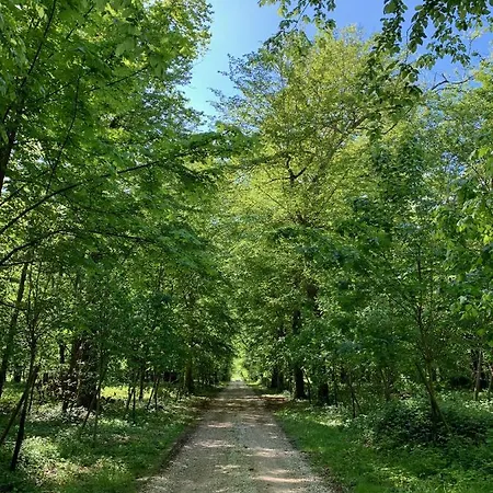 Chateau De Montabert Bed & Breakfast