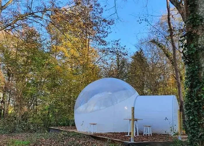 Chateau De Montabert فندق مبيت وإفطار 4*