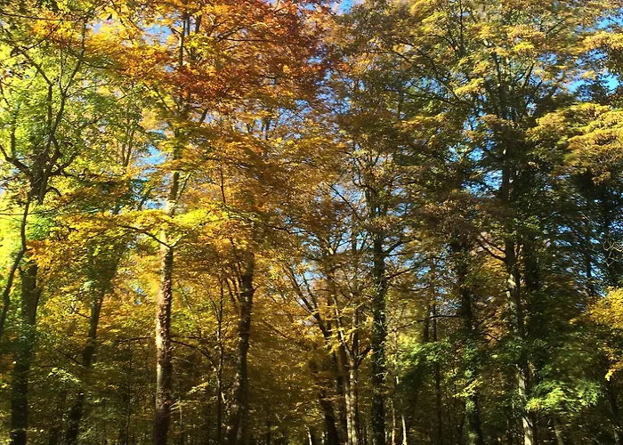 Frühstückspension Chateau De Montabert 4*