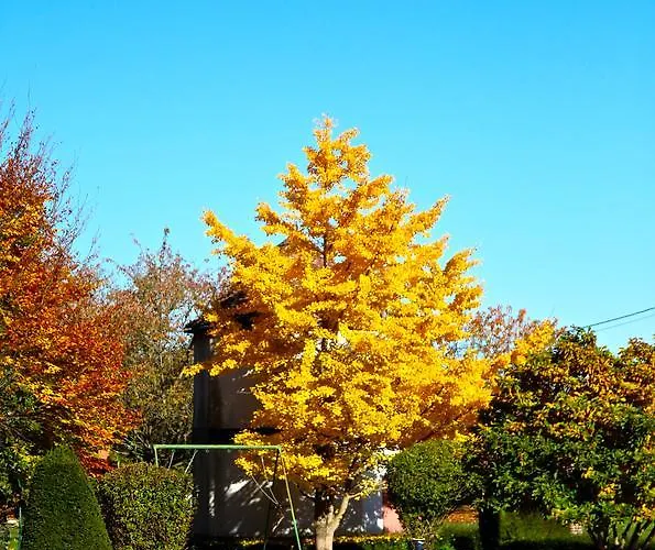 فندق مبيت وإفطار Chateau De Montabert 4*