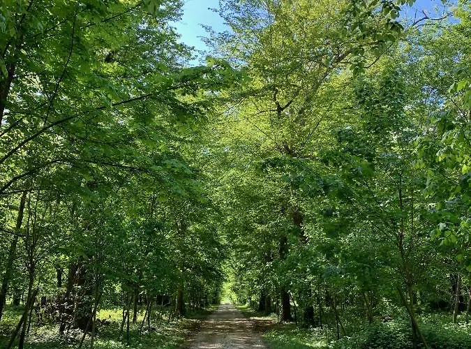 Chateau De Montabert Frühstückspension